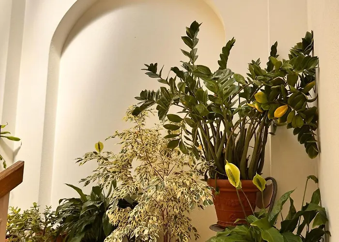 Διαμέρισμα Casa Stella Borzonasca